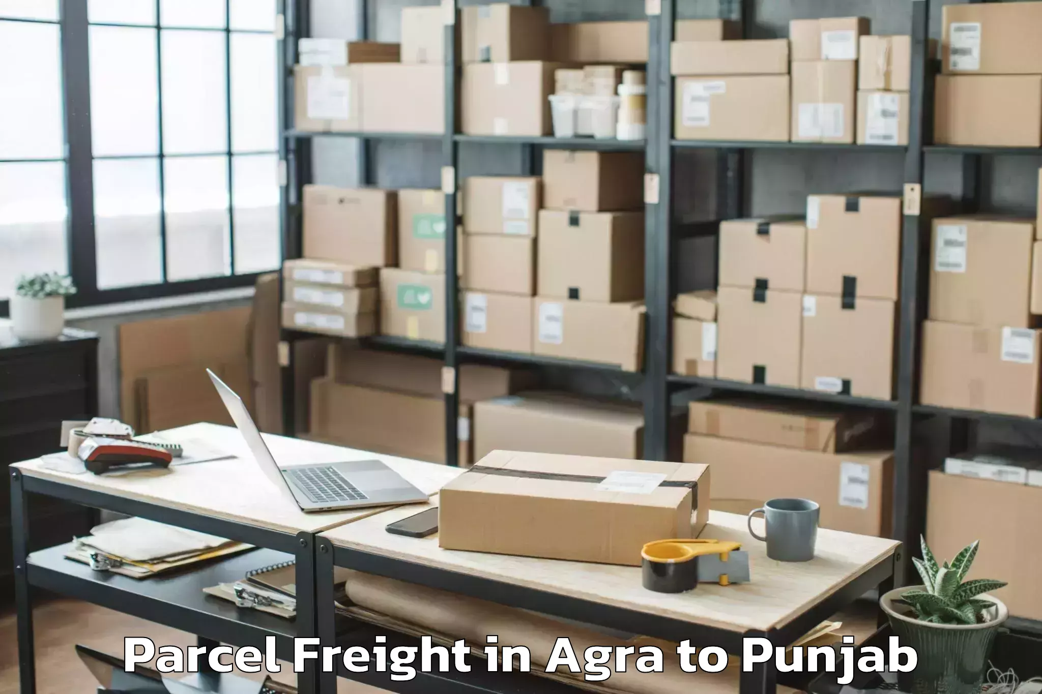 Trusted Agra to Rajpura Parcel Freight